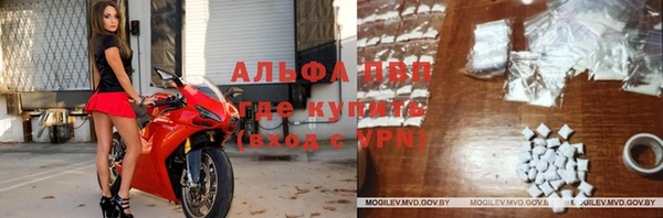 2c-b Инсар