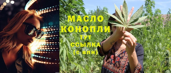 2c-b Инсар