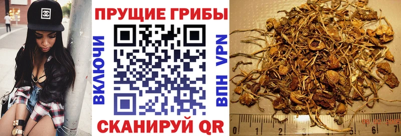 Галлюциногенные грибы прущие грибы  Купить закладки  Буй 
